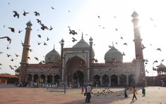 delhi_main